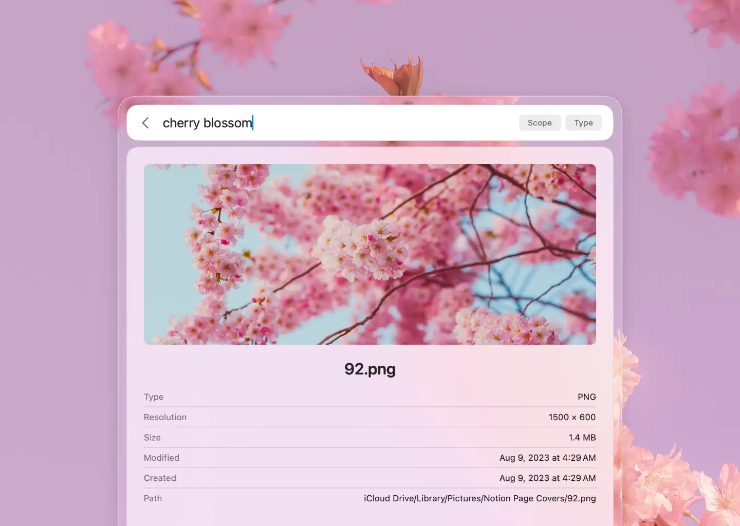 Sharkfin searchbar showing the detail view for the search term 'zucchini'
